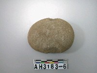 藏品(中砝碼型石網墜)的圖片